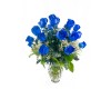 Two Dozen Blue Roses